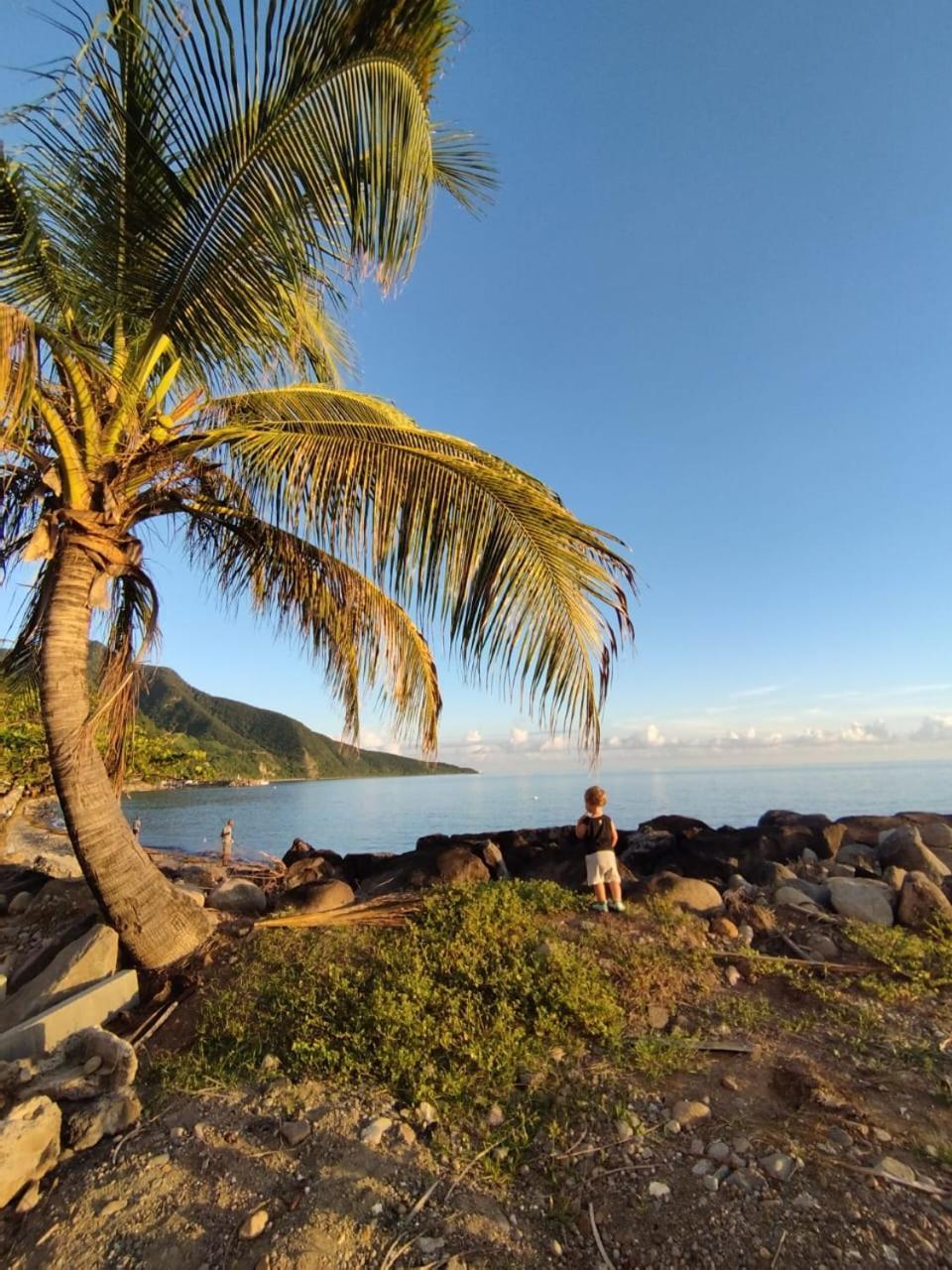 Kaz A Soley - Gite Vue Panoramique Sur La Mer - Plage A 500M Gourbeyre 외부 사진